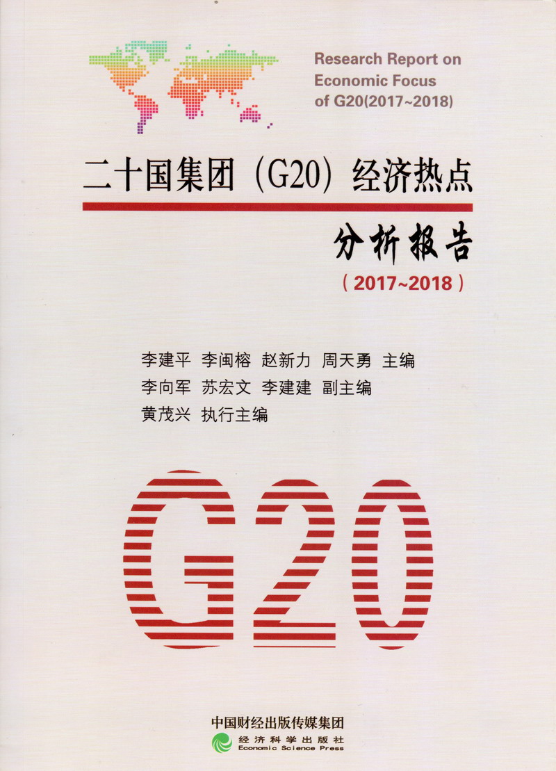 日本插鸡视频网站二十国集团（G20）经济热点分析报告（2017-2018）